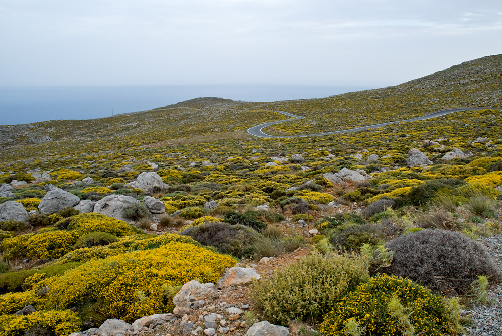 247_Kreta Wschodnia.jpg